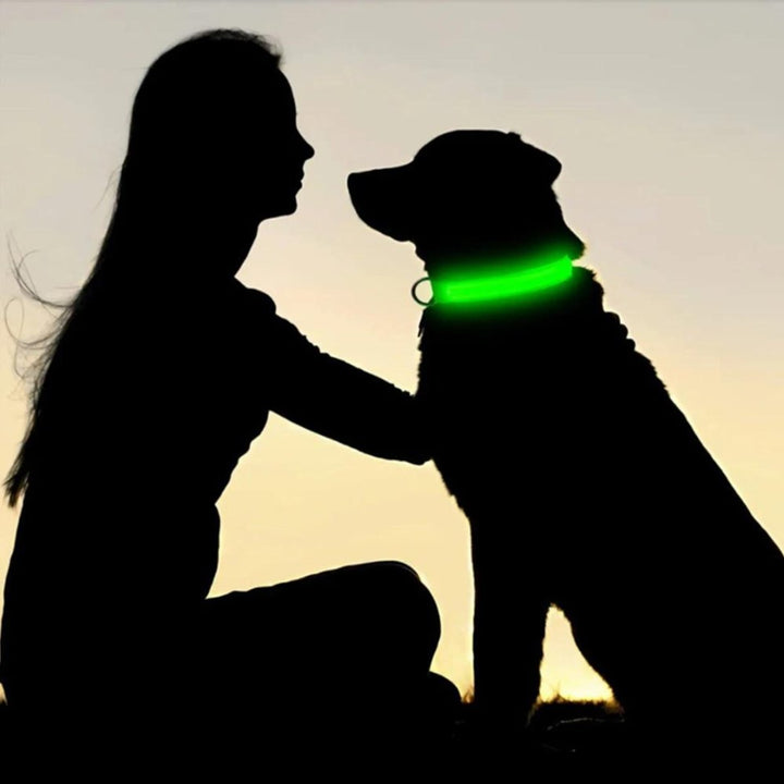 GlowGuard • AirTag Hundehalsbånd