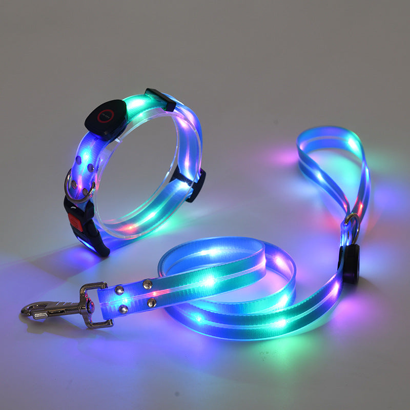 Lysende LED Hundehalsbånd med Snor - NightBright