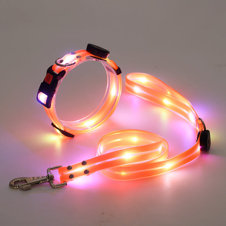Lysende LED Hundehalsbånd med Snor - NightBright