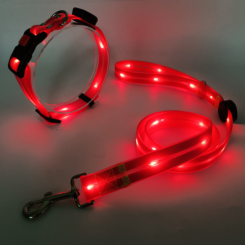 Lysende LED Hundehalsbånd med Snor - NightBright