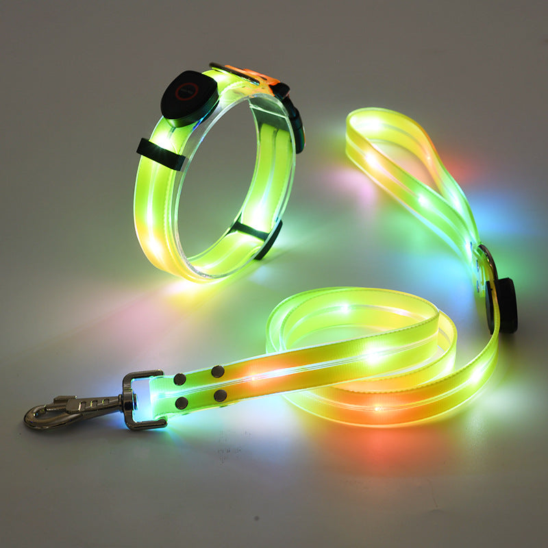 Lysende LED Hundehalsbånd med Snor - NightBright