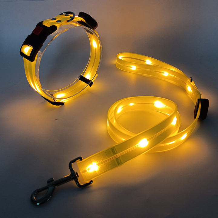 Lysende LED Hundehalsbånd med Snor - NightBright