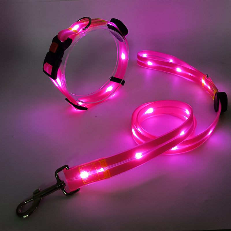 Lysende LED Hundehalsbånd med Snor - NightBright