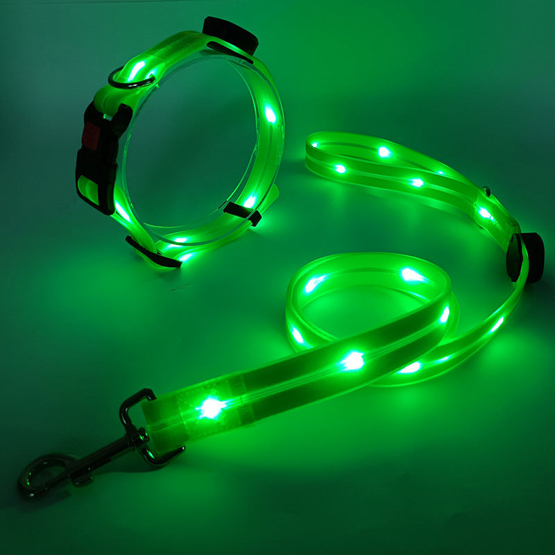 Lysende LED Hundehalsbånd med Snor - NightBright