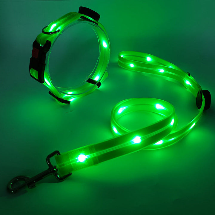 Lysende LED Hundehalsbånd med Snor - NightBright