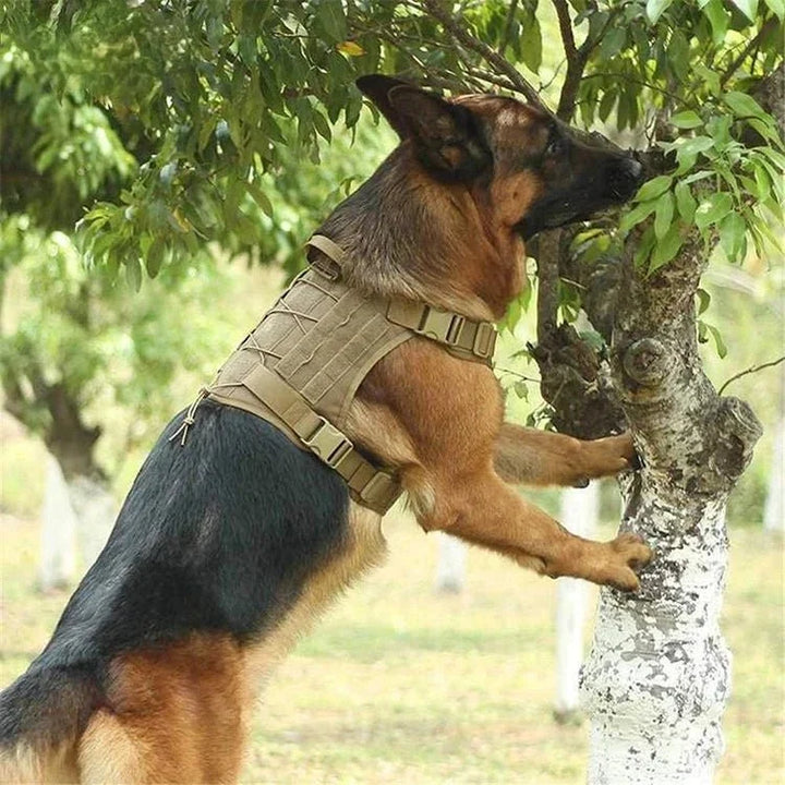 GuardianVest •  Ingen Træk Hundesele