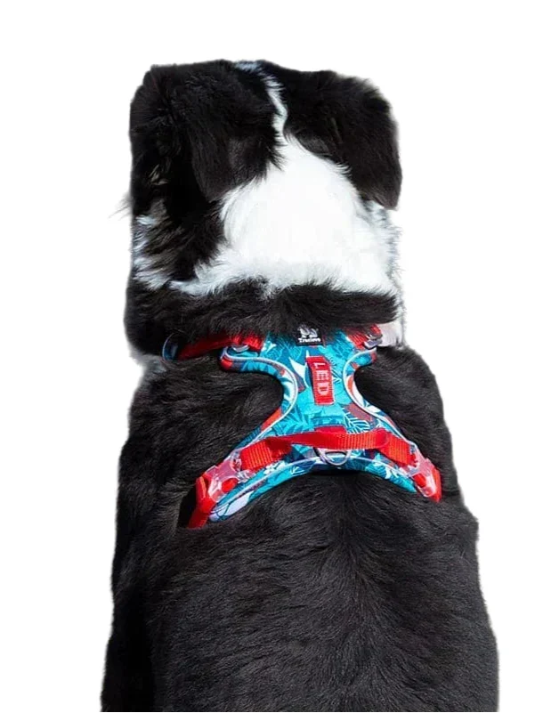 Komfortabel &amp; Holdbar Hundesele – Vendo
