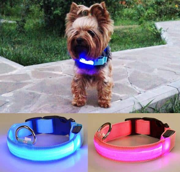 Hundehalsbånd med LED-lys |