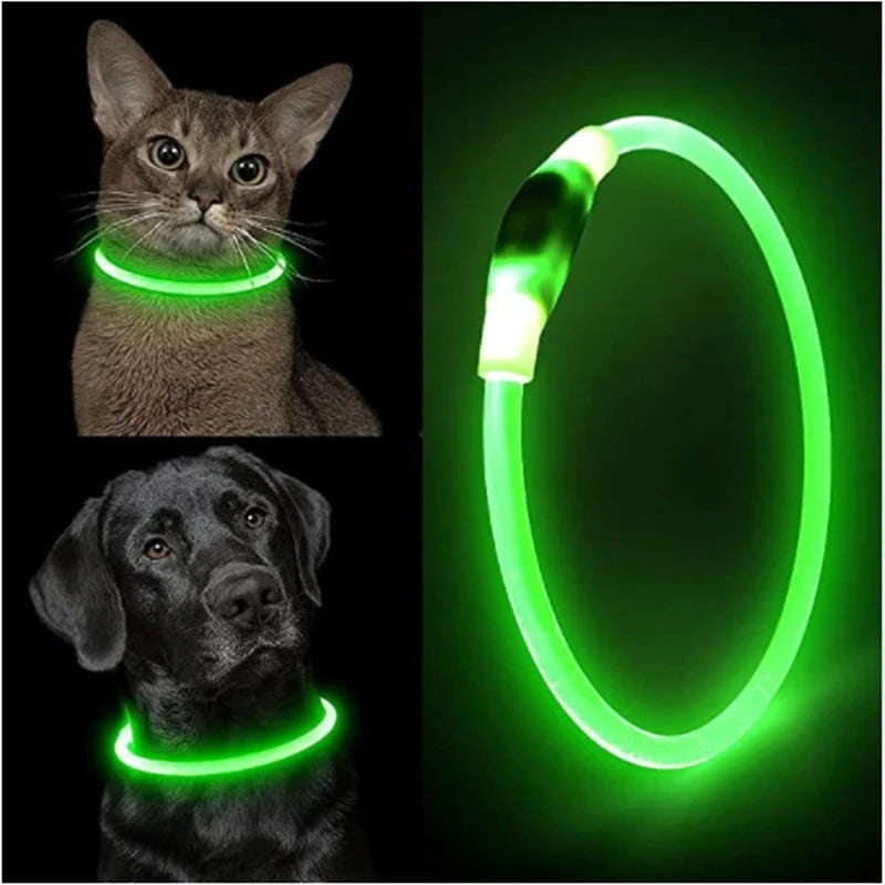 Lysende Hundehalsbånd, USB Genopladeligt LED Lysende Halsbånd