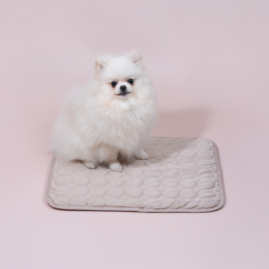Innovativ Kølemåtte til Hunde (4x Køleeffekt) - ChillComfort
