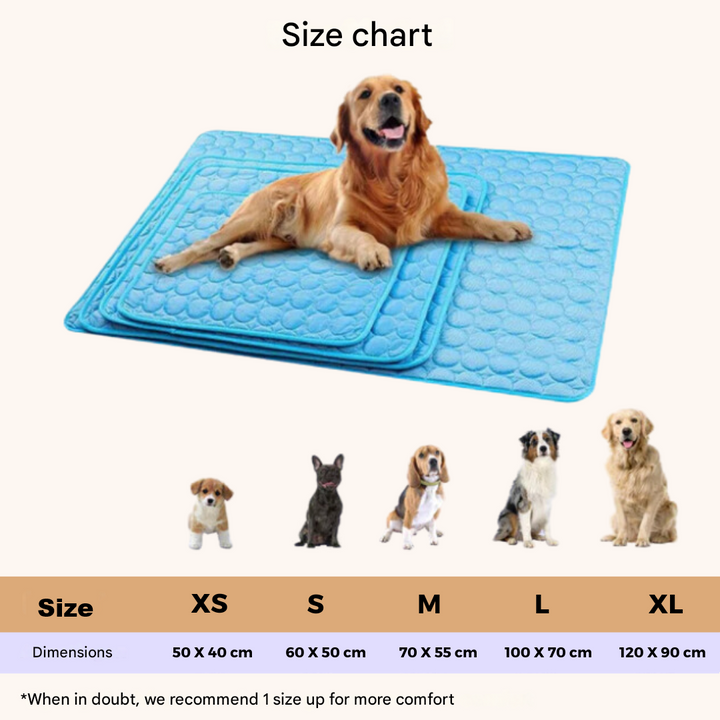 Innovativ Kølemåtte til Hunde (4x Køleeffekt) - ChillComfort