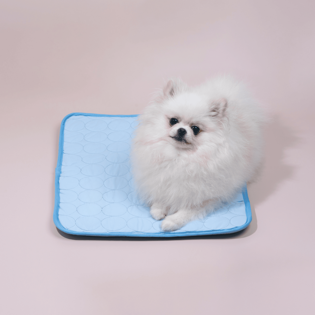 Innovativ Kølemåtte til Hunde (4x Køleeffekt) - ChillComfort