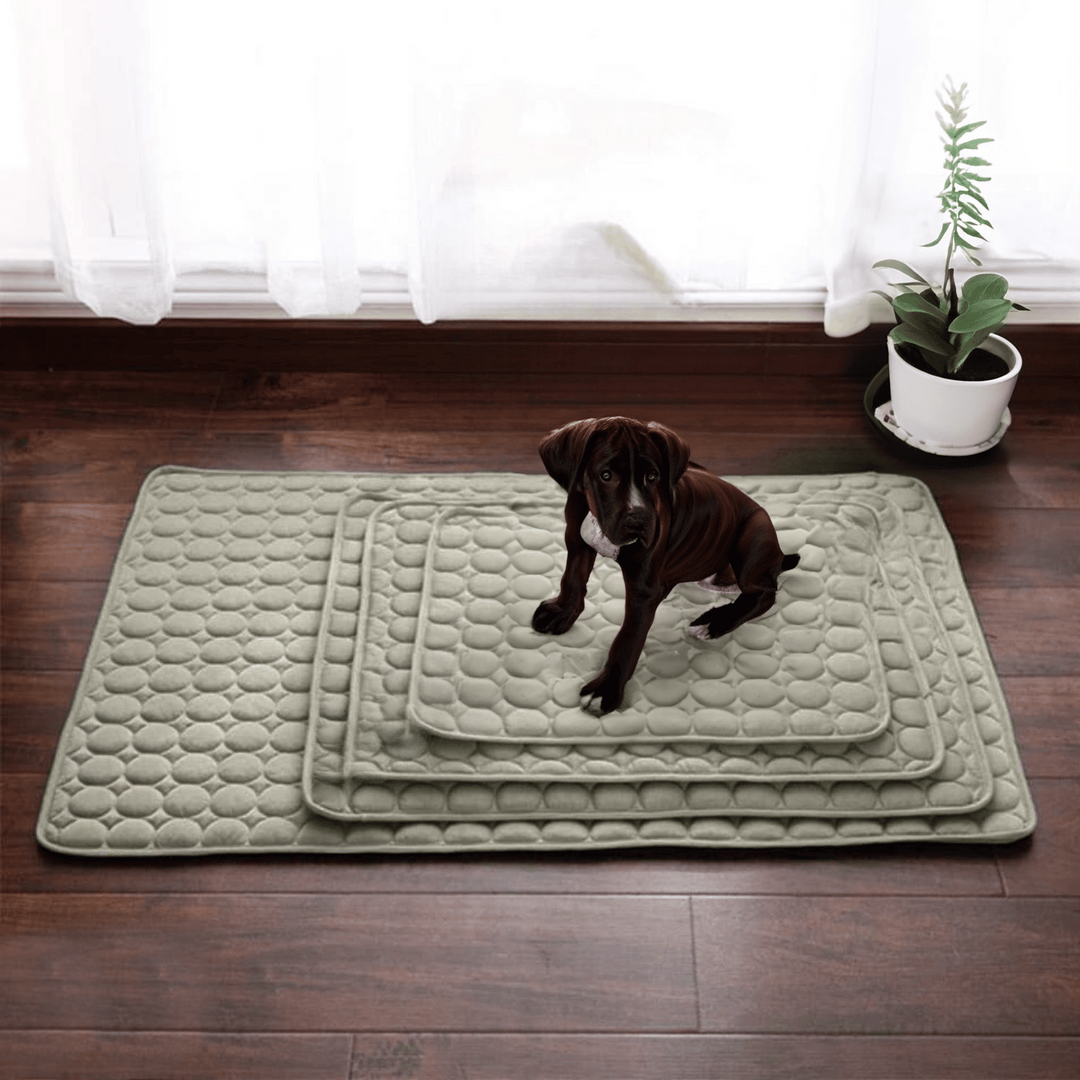 Innovativ Kølemåtte til Hunde (4x Køleeffekt) - ChillComfort