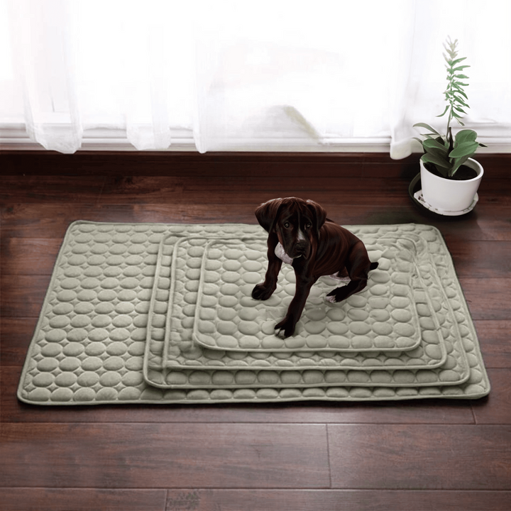 Innovativ Kølemåtte til Hunde (4x Køleeffekt) - ChillComfort