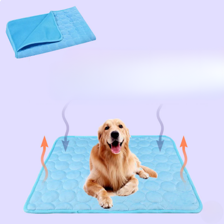 Innovativ Kølemåtte til Hunde (4x Køleeffekt) - ChillComfort