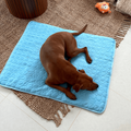 Innovativ Kølemåtte til Hunde (4x Køleeffekt) - ChillComfort