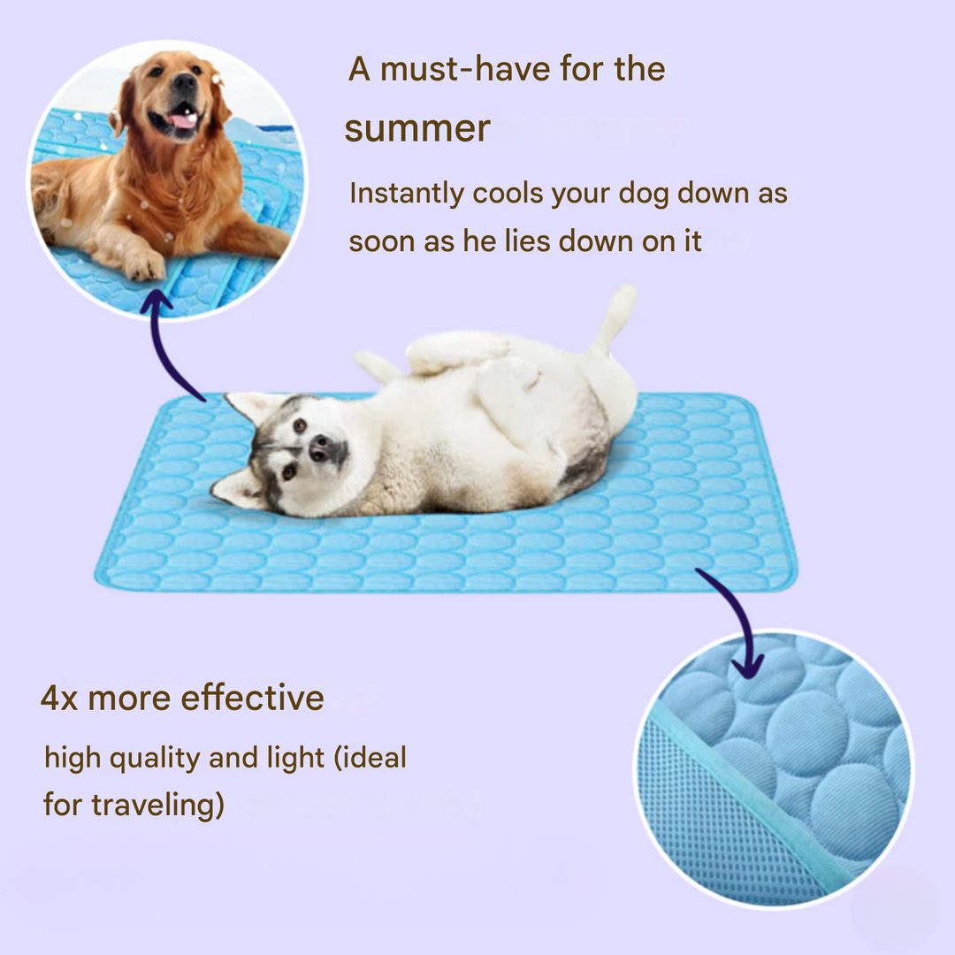 Innovativ Kølemåtte til Hunde (4x Køleeffekt) - ChillComfort