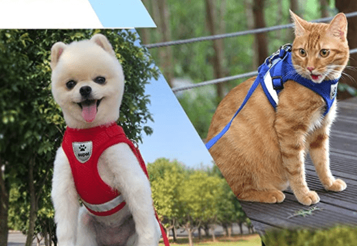 ADVENTURE HARNESS – Flugt-sikker katte sele med snor &amp; reflekterende elementer