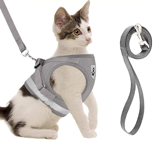 AdventureKit - Sikker sele til eventyrlystne katte