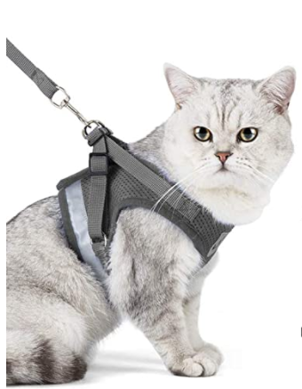 AdventureKit - Sikker sele til eventyrlystne katte