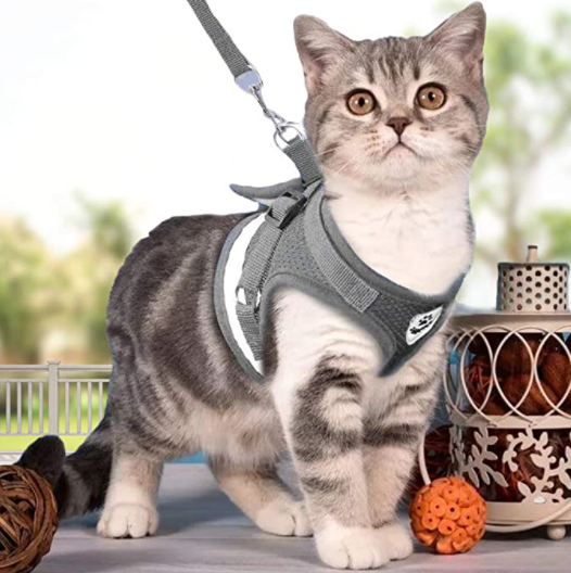 AdventureKit - Sikker sele til eventyrlystne katte
