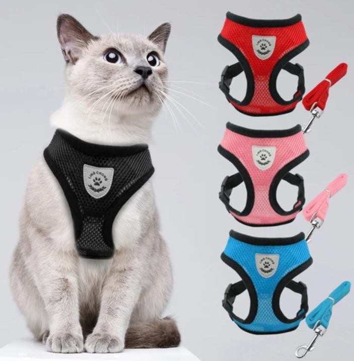 AdventureKit - Sikker sele til eventyrlystne katte