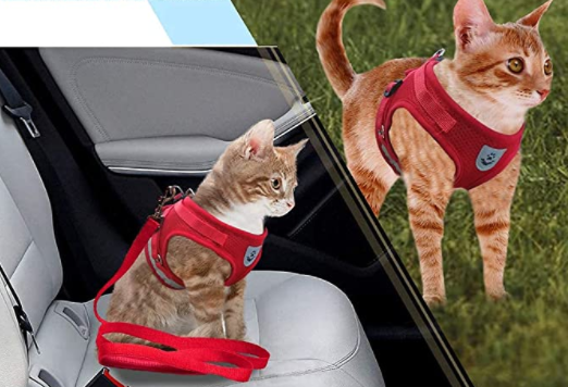 AdventureKit - Sikker sele til eventyrlystne katte