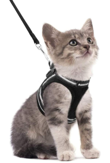 AdventureKit - Sikker sele til eventyrlystne katte