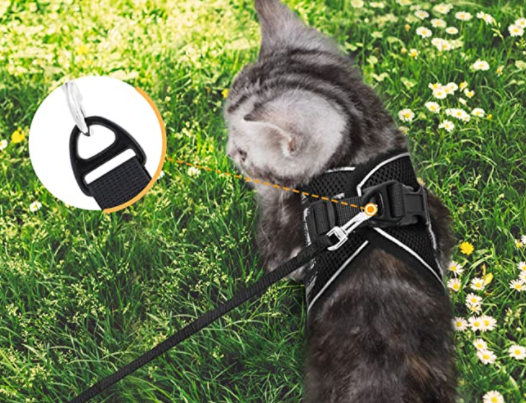 AdventureKit - Sikker sele til eventyrlystne katte