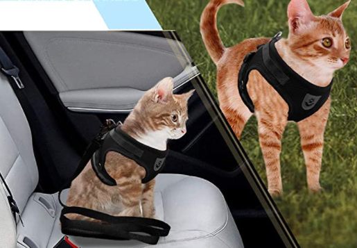 AdventureKit - Sikker sele til eventyrlystne katte
