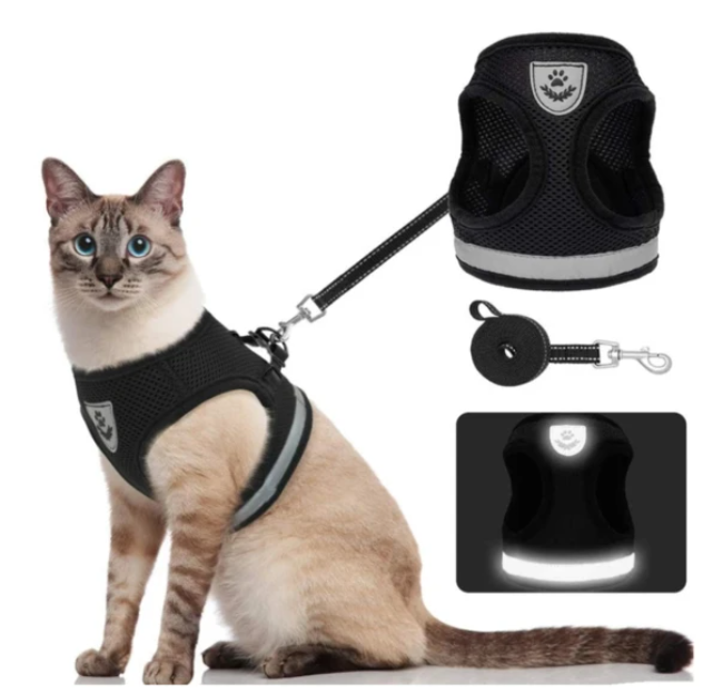 AdventureKit - Sikker sele til eventyrlystne katte