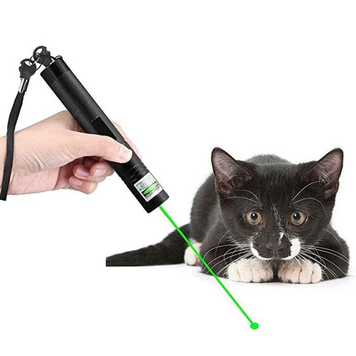 Højtydende Laserpointer 303