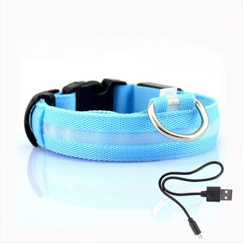 LED Hundehalsbånd - GlowCollar