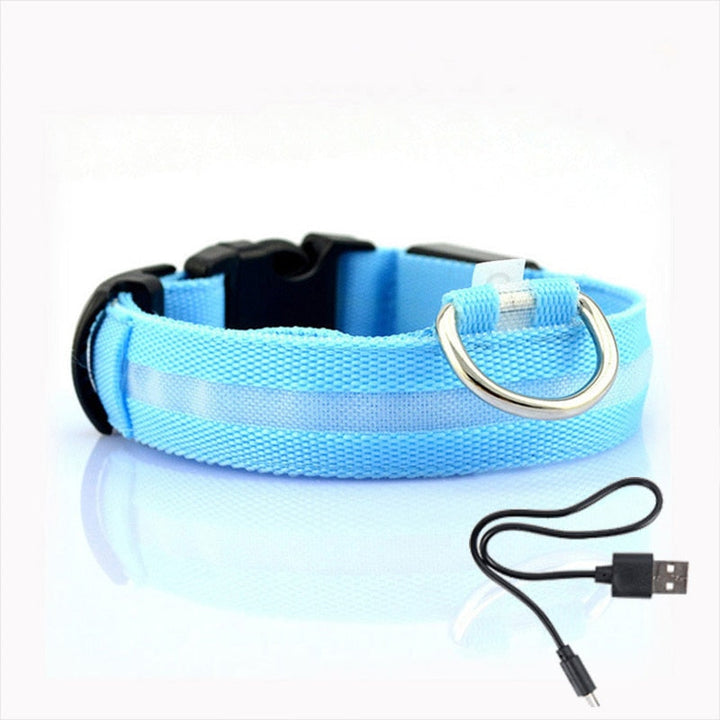 LED Hundehalsbånd - GlowCollar