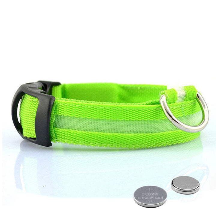 LED Hundehalsbånd - GlowCollar