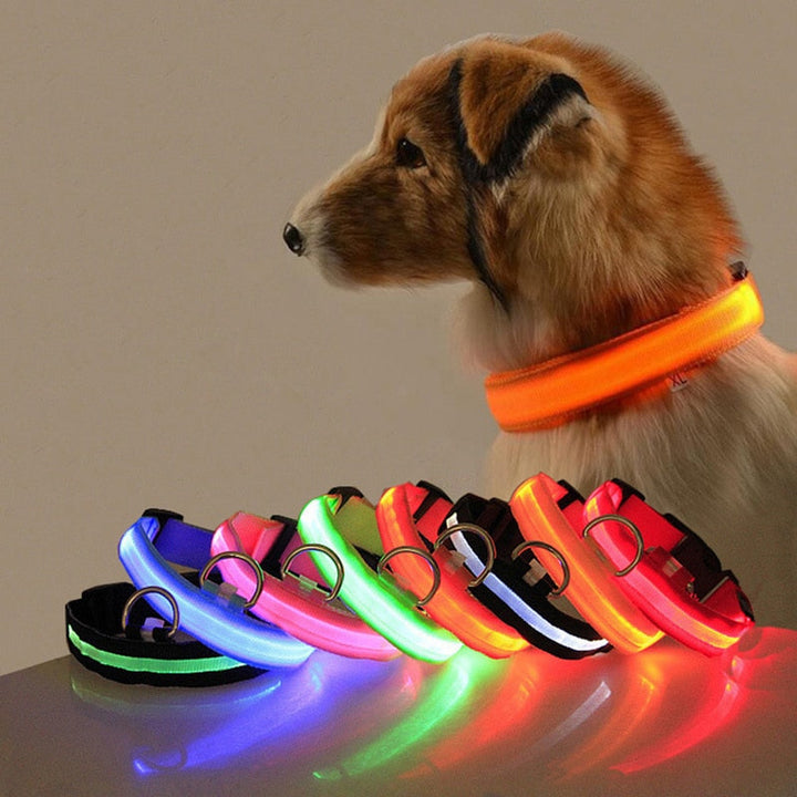 LED Hundehalsbånd - GlowCollar