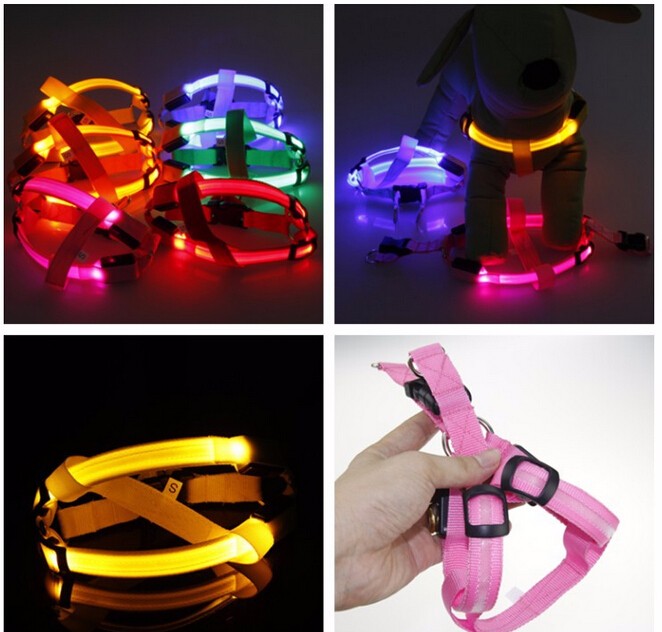 LED Hundesele - Glow&amp;Go