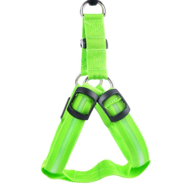 LED Hundesele - Glow&amp;Go