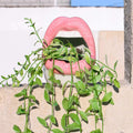Læber Blomsterkrukke
