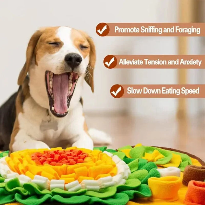 Snuffle Mat til Hunde