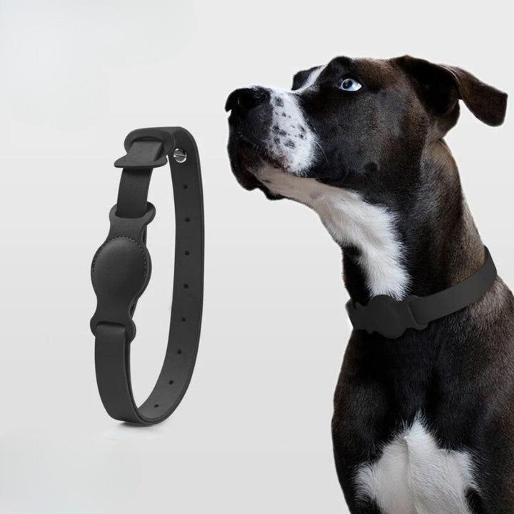 LuxeLeather • AirTag Hundehalsbånd