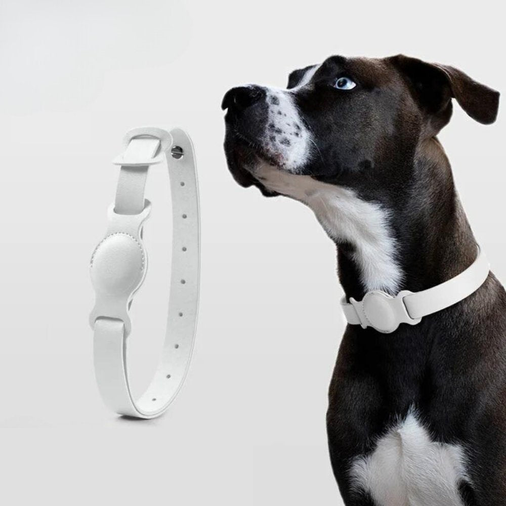 LuxeLeather • AirTag Hundehalsbånd