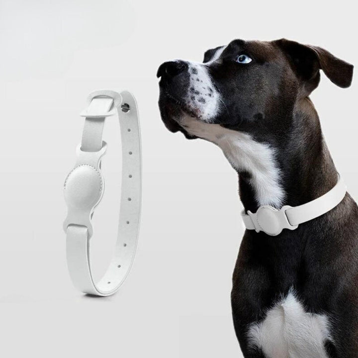 LuxeLeather • AirTag Hundehalsbånd