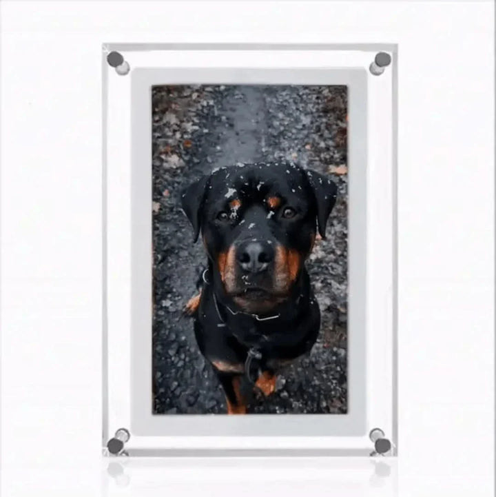 Memory Frame | For Evige Minder