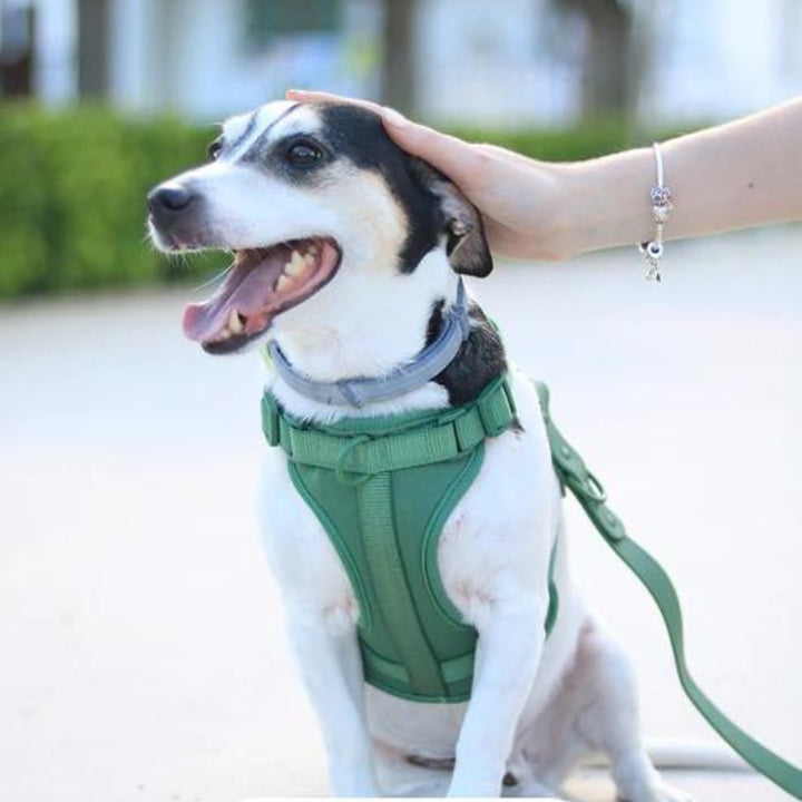 Polstret kontrol • Ingen træk hundesele