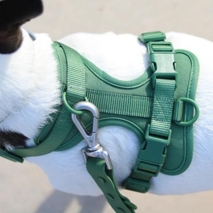 Polstret kontrol • Ingen træk hundesele