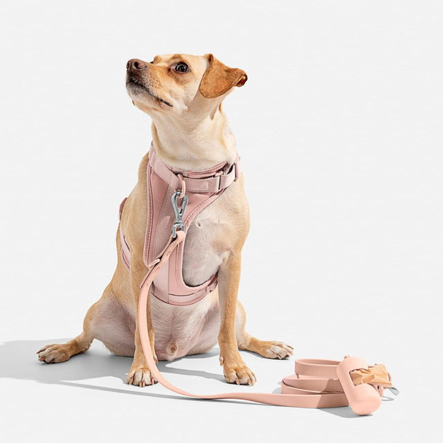 Polstret kontrol • Ingen træk hundesele