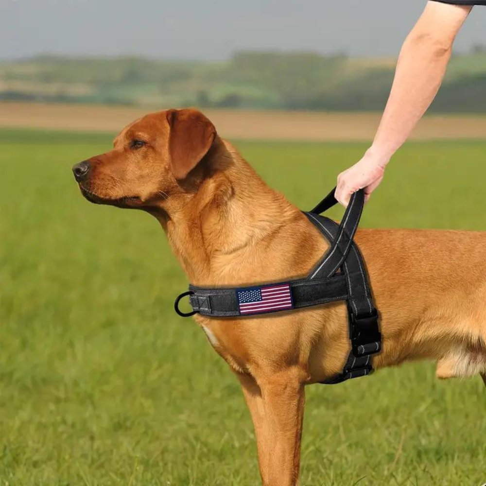 PatriotGuard •  Ingen Træk Hundesele