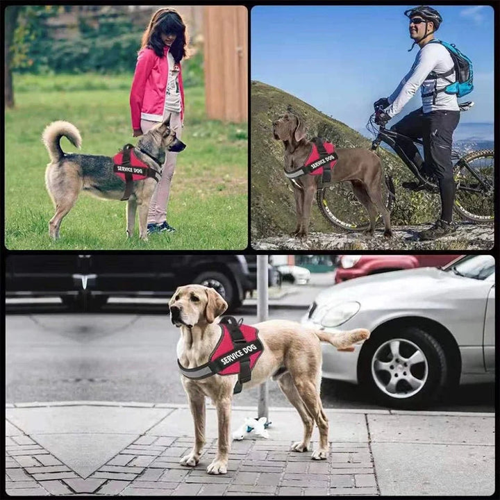 PawsFit •  Ingen Træk Hundesele