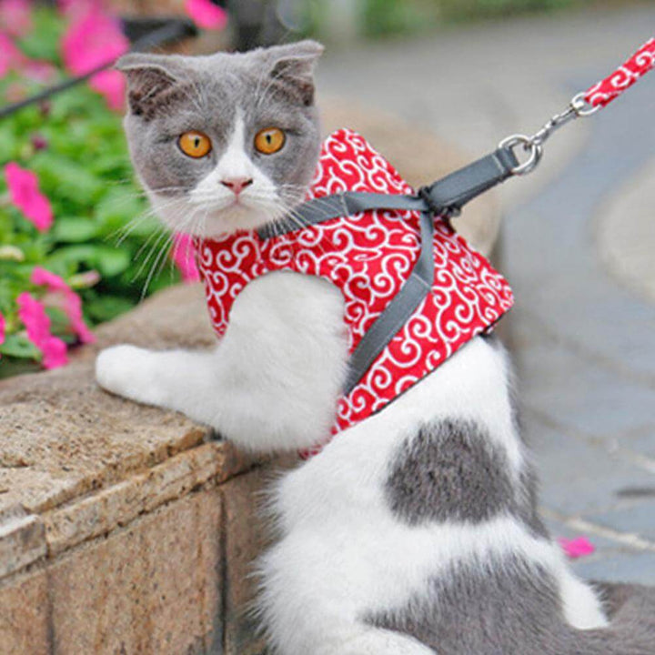 PAWVENTURE SELER – Katte Seler Vest Sæt med Åndbart Mesh &amp; Snor